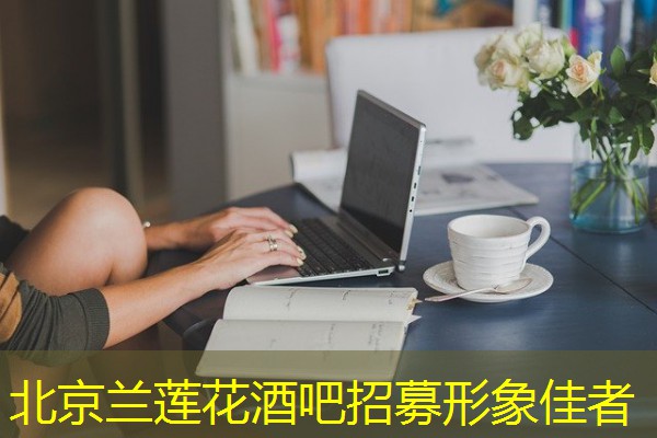 北京兰莲花酒吧招募形象佳者 北京兰莲花酒吧招募形象佳者